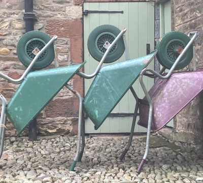 A Year In The Garden    ....  with Shelagh Todd, - lecturer, garden designer & plantswoman.                                                                                                                                                                    